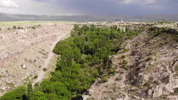 Forest and Mounts