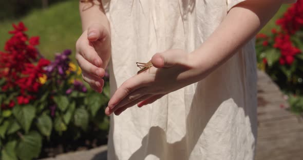 In The Hand Of A Little Girl Sits A Grasshopper