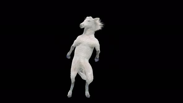 33 White Horse Dancing 4K