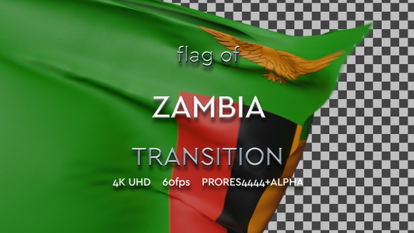 Flag of Zambia transition | UHD | 60fps