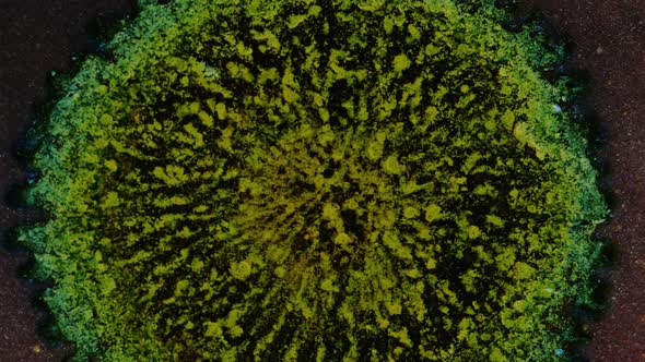 Green Yellow Blue Explosion Particles Flying in Different Directions