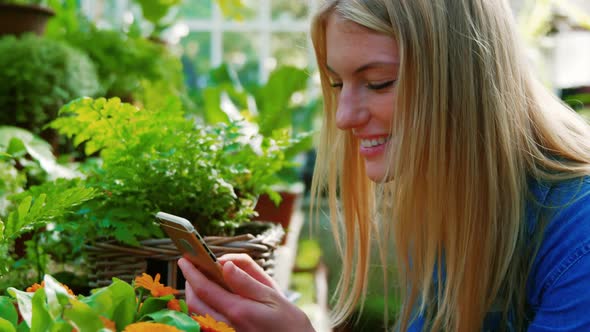 Beautiful woman using mobile phone