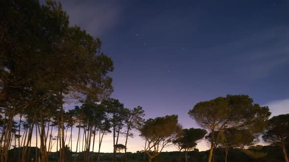 Portugal beach wild coast atlantic nature stars night cosmos