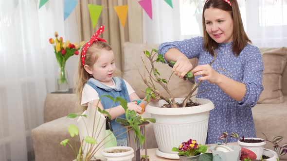 a Mother and Daughter Prune the Branches of a Houseplant