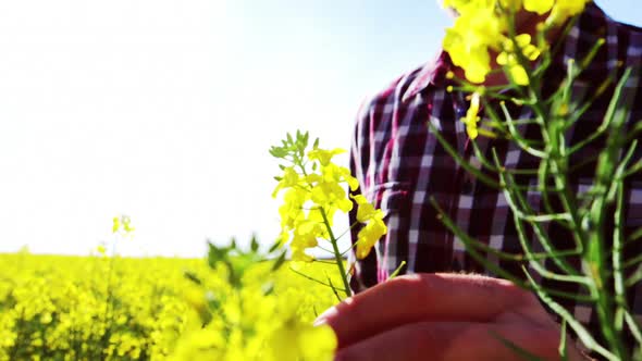 Happy man standing in mustard field