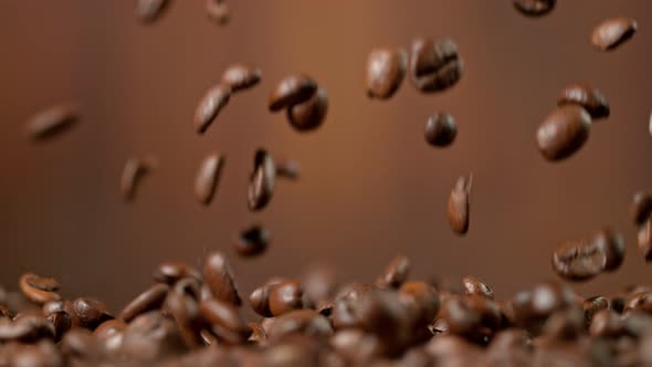 Roasted Coffee Beans Falling Down in Super Slow Motion