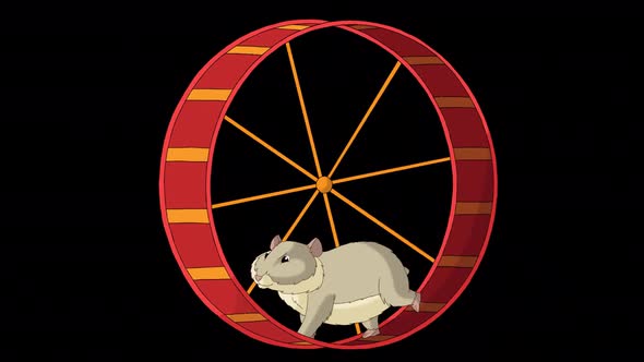 Grey hamster runs in a wheel alpha matte