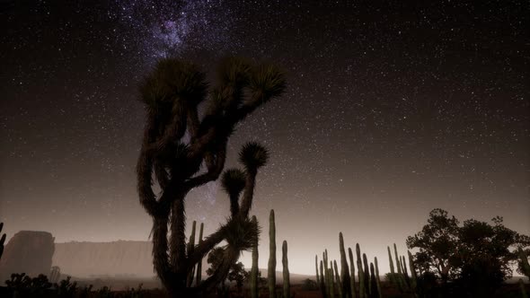 Hyperlapse in Death Valley National Park Desert Moonlit Under Galaxy Stars