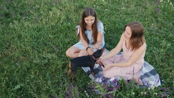 Mom and Daughter Pat the Dog on the Nature