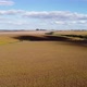 Ready to Harvest Soybean Field Aerial - VideoHive Item for Sale