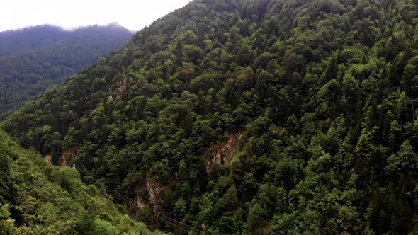 Mountains Forest and Houses