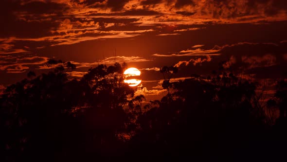 Sun Setting Behind Trees