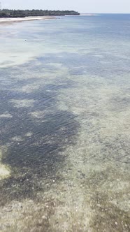 Tanzania  Vertical Video of Low Tide in the Ocean Near the Coast of Zanzibar Slow Motion