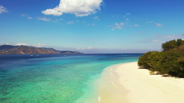 Aerial drone view landscape of paradise bay beach wildlife by blue water and bright sand background 