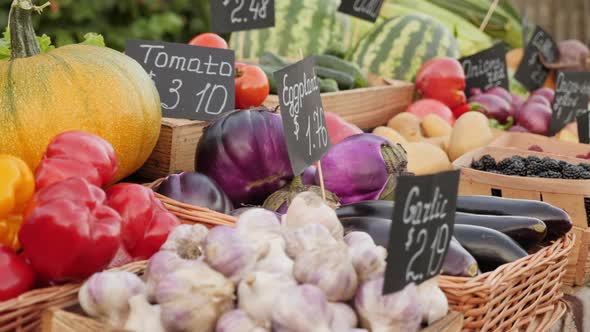 Fresh Vegetables and Fruits Set at Farmer's Market