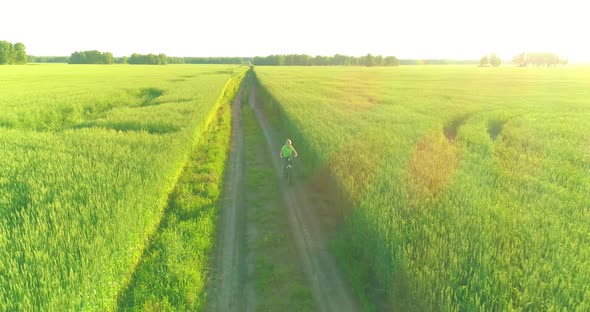 Aerial View on Young Boy That Rides a Bicycle Thru a Wheat Grass Field on the Old Rural Road