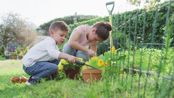 Happy caucasian siblings gardening, planting flowers together