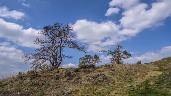 Time lapse of beautiful nature in the Czech Republic 