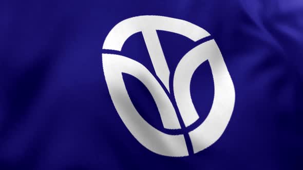 Fukui Prefecture Flag