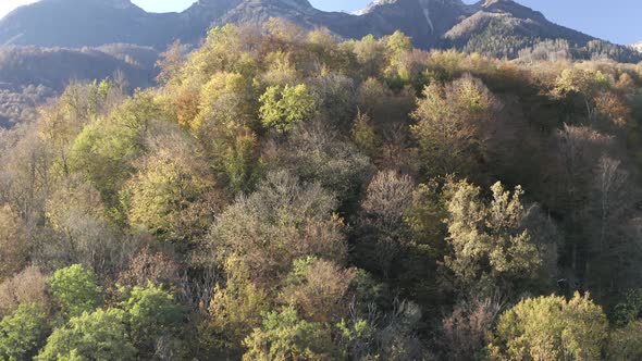 Aerial View Raising Up Over Beautiful Autumn Natural Sunny Mountain Landscape