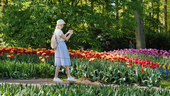 A Female Tourist Walks Along the Keukenhof Park, Taking Pictures on the Go. Tourism in the