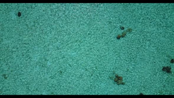 Aerial drone view nature of idyllic bay beach wildlife by blue sea and white sandy background of jou