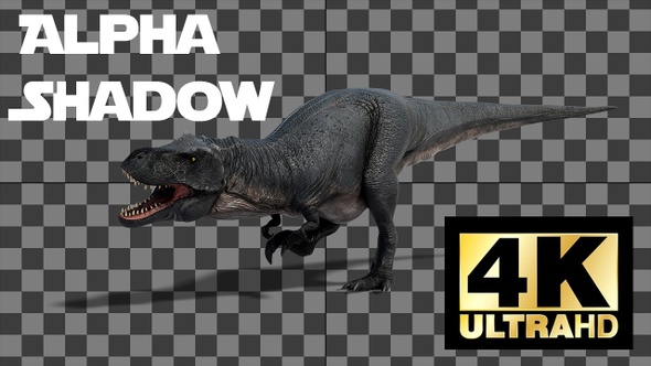 Dinosaur Tyrannosaurus Walk And Roar Loop With Alpha And Shadow alt