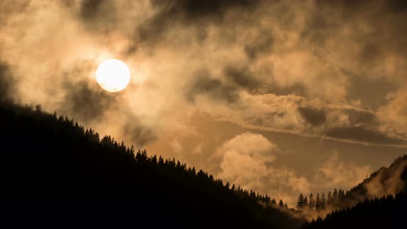 Mystic Sunset over Dark Forest