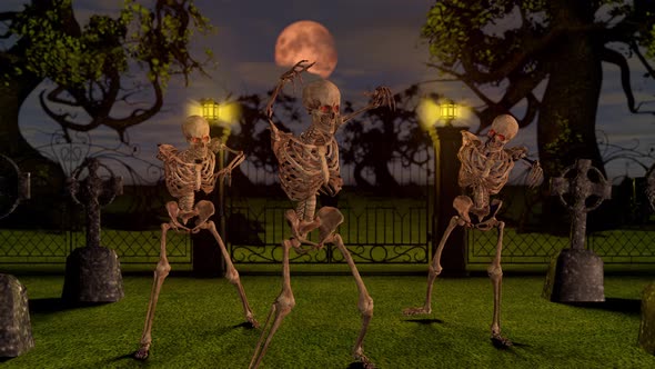 Attacking Skeletons at Night in the Cemetery
