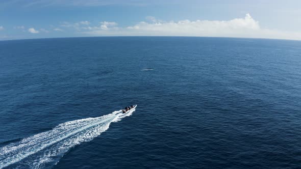 Aerial view of a motorboat in the ocean, Azores, Portugal.