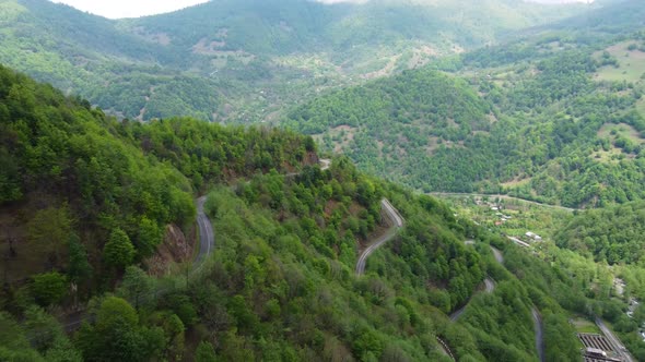 Pass In The Mountain Forest