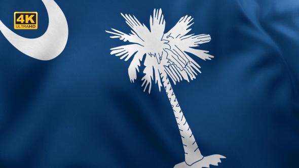 South Carolina State Flag - 4K