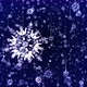 Snowflake Rain 4 K - VideoHive Item for Sale