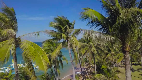 Aerial Flight Over Tropical Island Resort Sourrounded By Palm Trees.