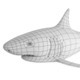 Shark Base Mesh - 3DOcean Item for Sale