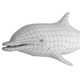 Dolphin Base Mesh - 3DOcean Item for Sale