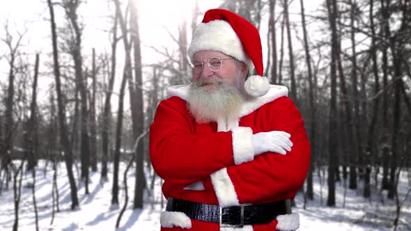 Santa on Winter Forest Background.