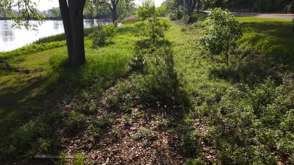 Aerial of dense brush around an old rail intersection.