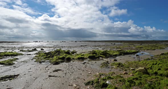 Damgan, Morbihan department, Brittany, France