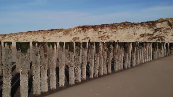 Old Wooden Pilings Standing On The Shore With Tourists Walking In Background Near Brouwersdam, Nethe