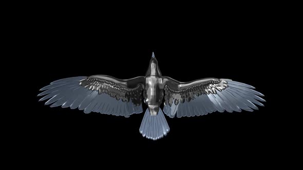 Silver Eagle - Flying Loop - Top View alt