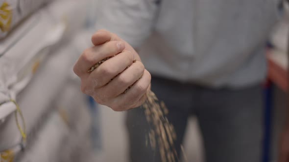 Brewer Man Holding And Pouring Beer Malt  Close Up