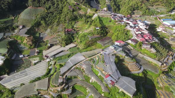 Cameron Highlands, Pahang Malaysia