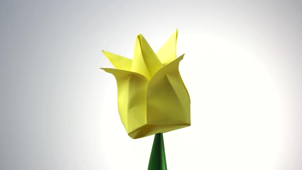 Yellow Origami Flower Tulip.