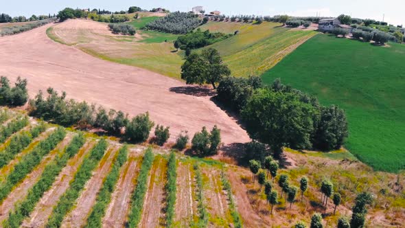 Aerial view of vineyards and fields in Marche region, Italy