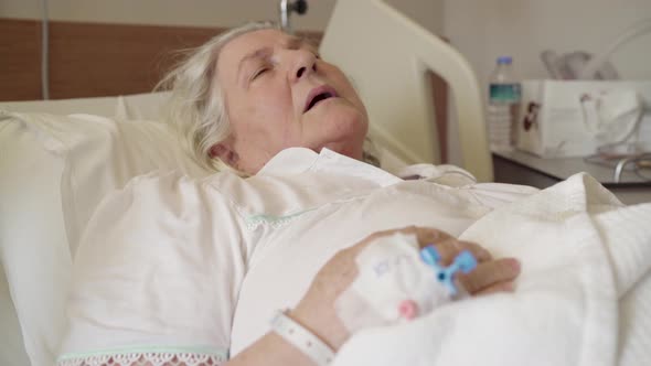 An old lady is sleeping and resting in hospital with scalp vein needle on her hand.