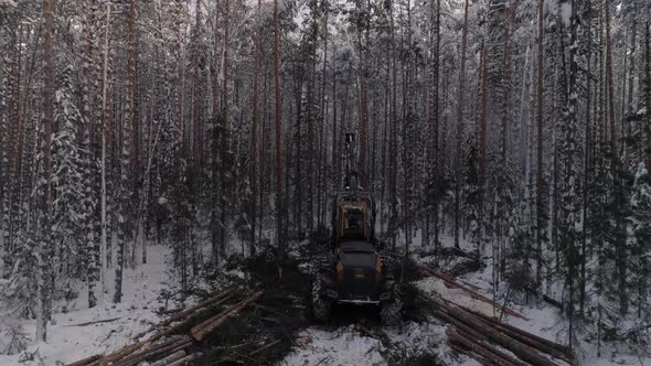 Aerial Drone view of Forest harvester logging a tree in winter forest 30