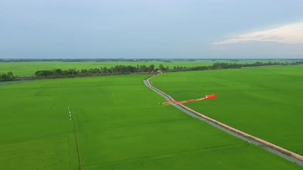 Peaceful landscape with alone tree, kites and green fields in the countryside