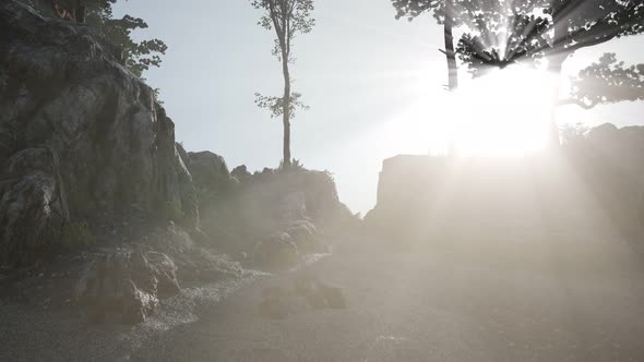 Trees on Rocks in Mountains at Sunset