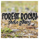 Forest Rocky Photo Gallery - VideoHive Item for Sale